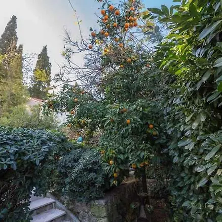 Apartment In 43525 Dubrovnik