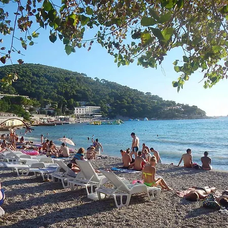 In 43525 Daire